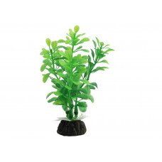 Растение 1030LD "Альтернантера" зеленая, 100мм