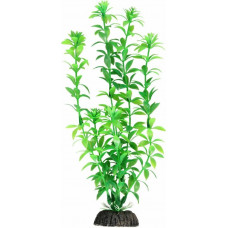 Растение 1048LD "Гемиантус" зеленый, 200мм