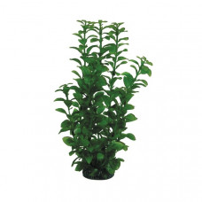 Растение 2953 "Людвигия" зеленая, 300мм