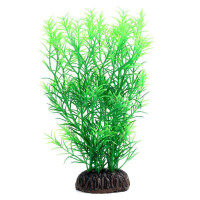 Растение 1991 "Гетерантера" зеленая, 200мм
