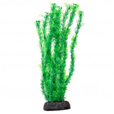Растение 1969 "Лигодиум" зеленый, 200мм