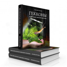 Гекконы в мировой террариумистике