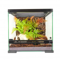 Террариум Simple Zoo 30х30х30