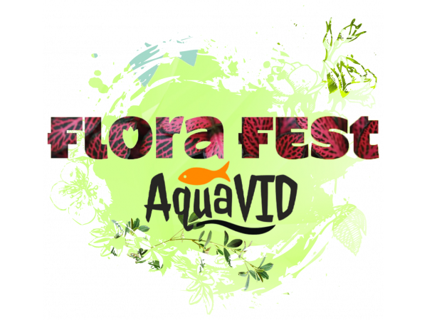 AquaVID на международном фестивале FLORA FEST