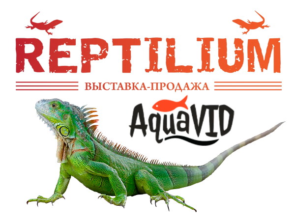 Выставка REPTILIUM в Санкт-Петербурге