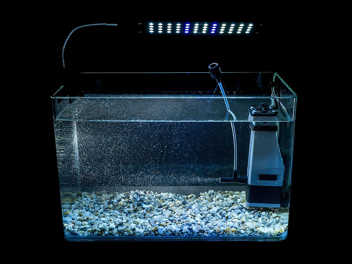 Фильтры для аквариума: виды фильтров, какой фильтр лучше, как работают фильтры