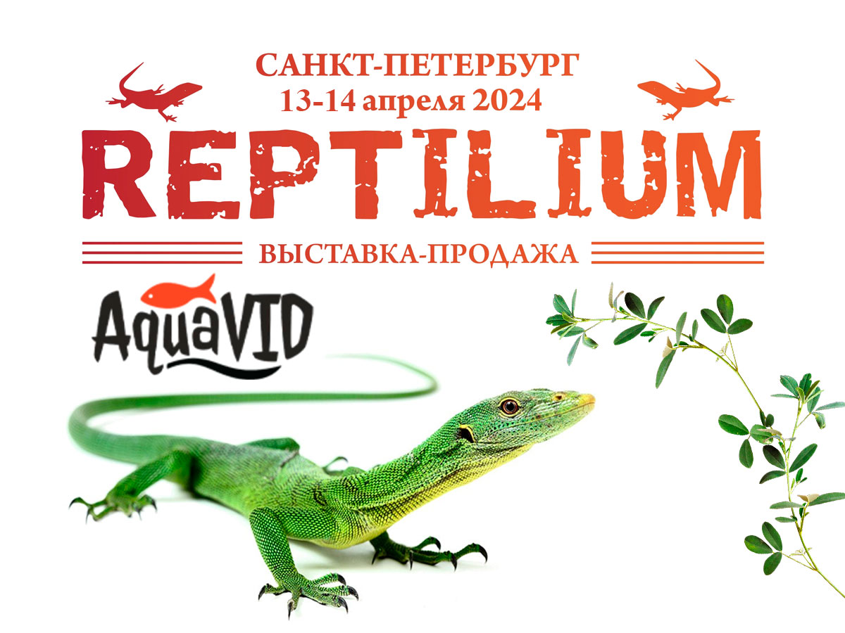 Выставка REPTILIUM в Санкт-Петербурге 13-14 апреля 2024