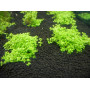 Грунт аквариумный для растений Prodibio AquaGrowth Soil, 9 л