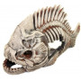Скелет рыбы 