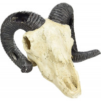LUCKY REPTILE Декорация для террариума, череп "Skull Ram", 19.5х7х12см