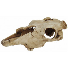 LUCKY REPTILE Декорация для террариума, череп "Skull Cow", 22.5х12.5х8.5см