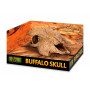 Череп Буйвола Hagen Exo-Terra Buffalo Skull 23х23х11.5см.