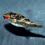 Тетрадон красноглазый (Carinotetraodon lorteti)